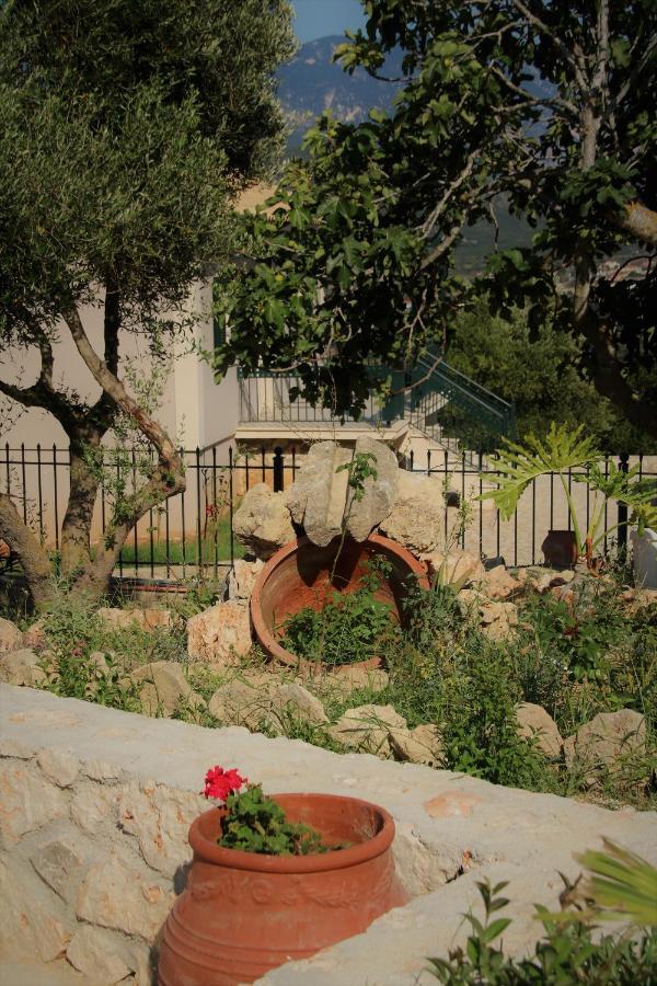 Nikoleta'S Studios Argostoli  Exterior foto