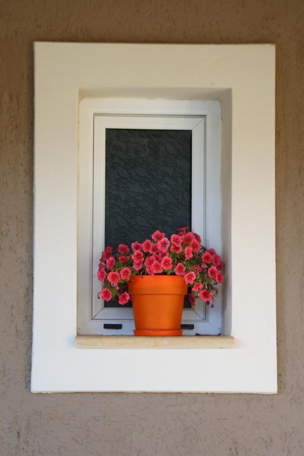 Nikoleta'S Studios Argostoli  Exterior foto